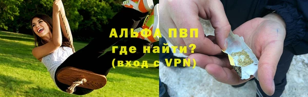 стаф Белоозёрский