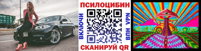Купить  Новая Ладога  Псилоцибиновые грибы Cubensis 
