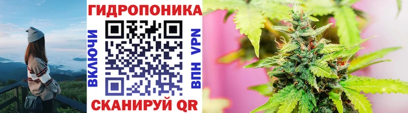 Купить  Новая Ладога  Канабис Amnesia 
